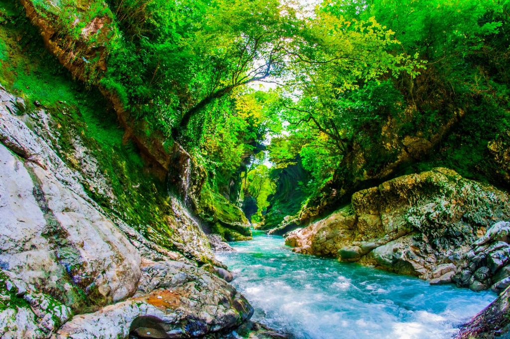 სამეგრელო